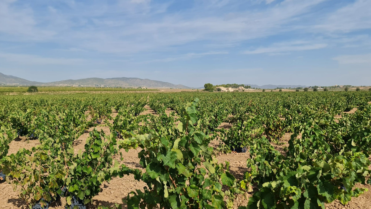 Property main view 7