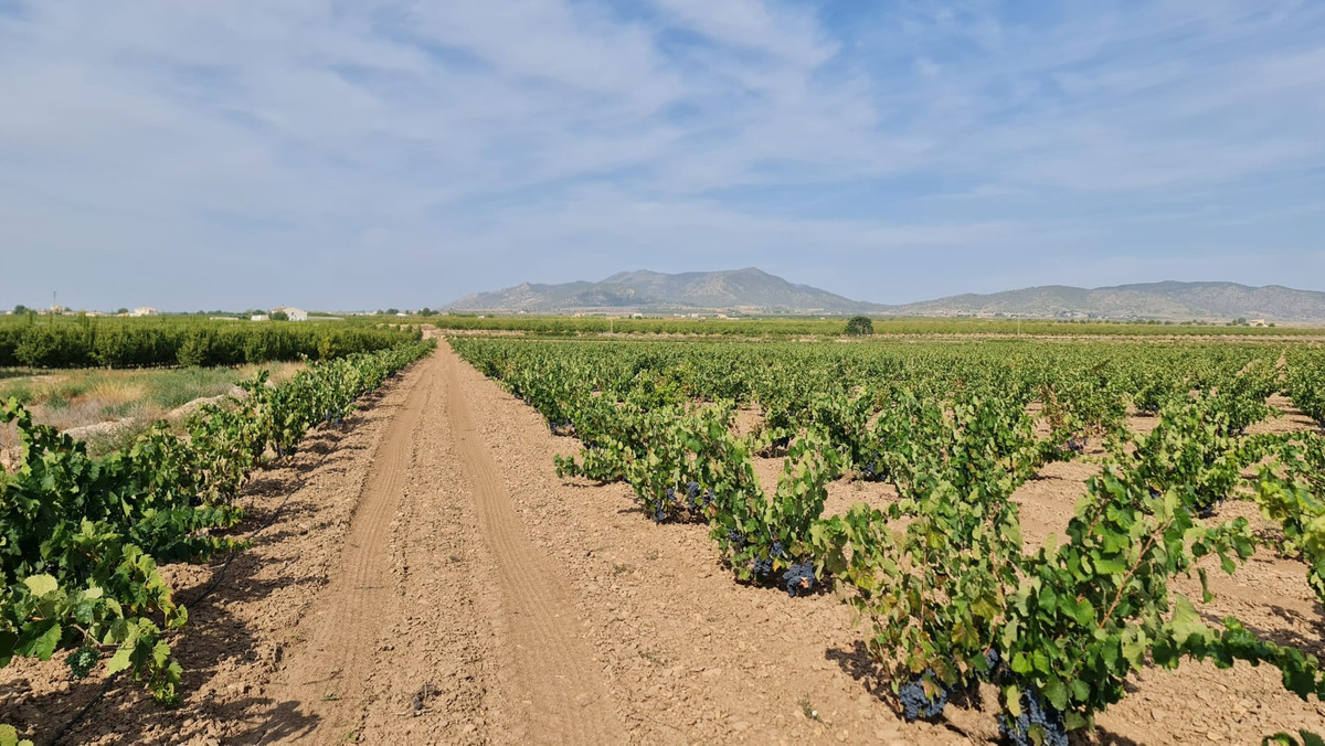 Property main view 8