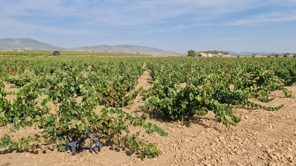 Property main view 9