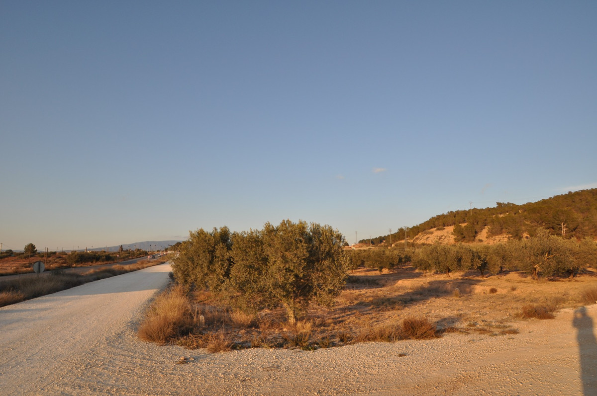 Property main view 3