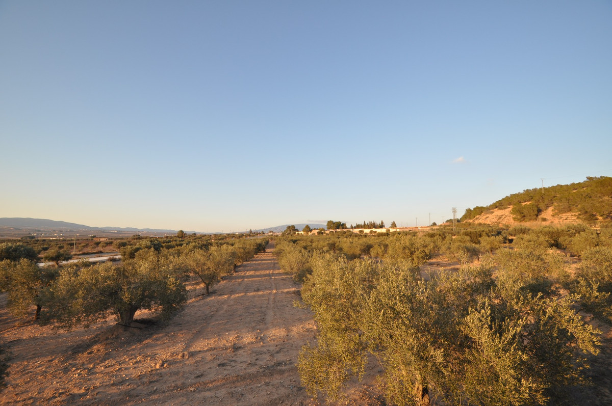 Property main view 5