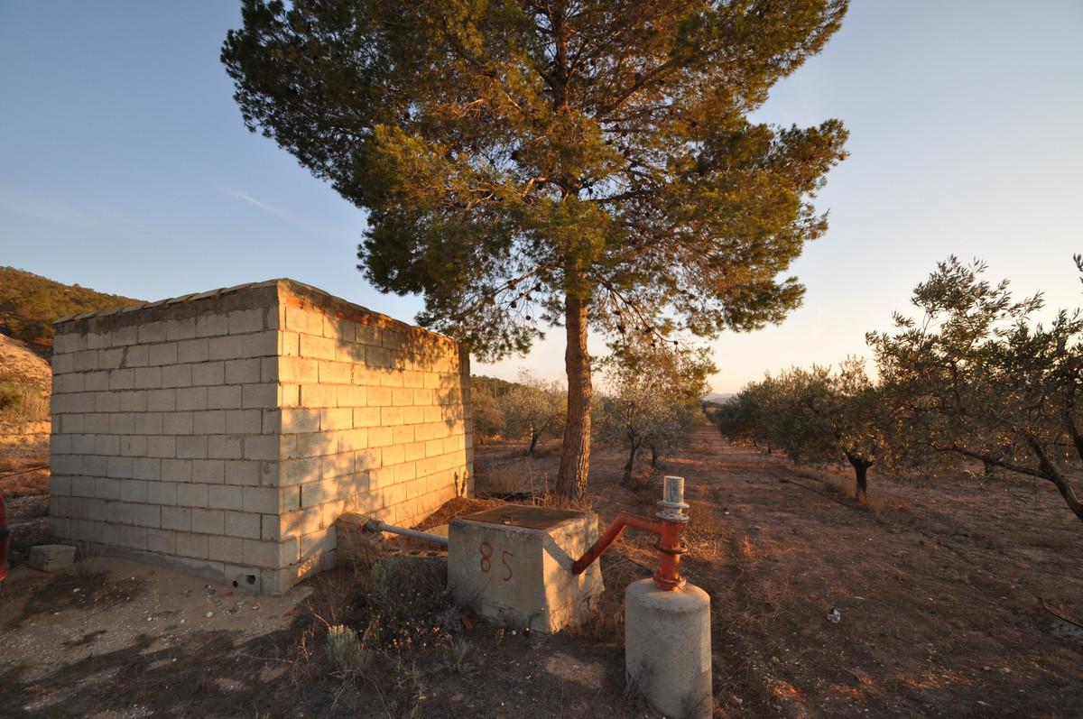 Property main view 6