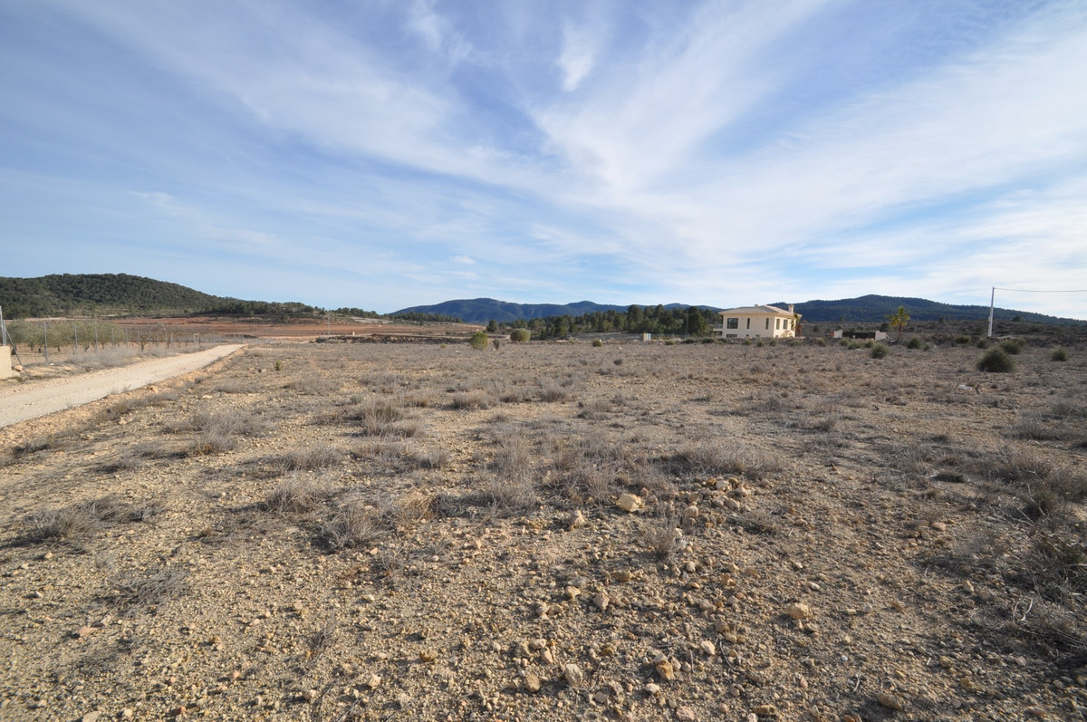 Property main view 3