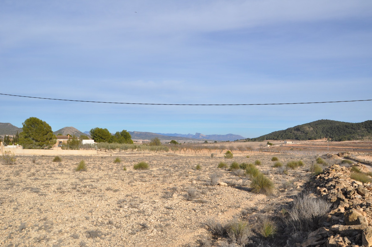 Property main view 7