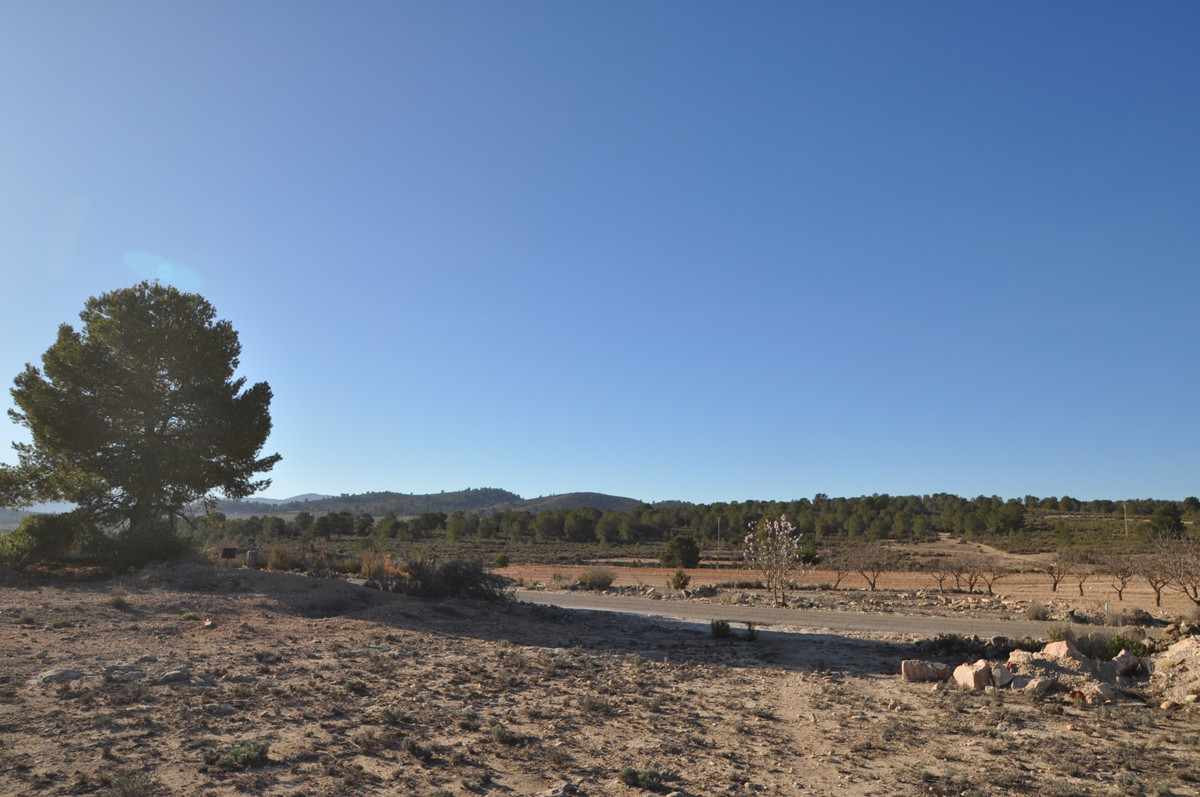 Property main view 10