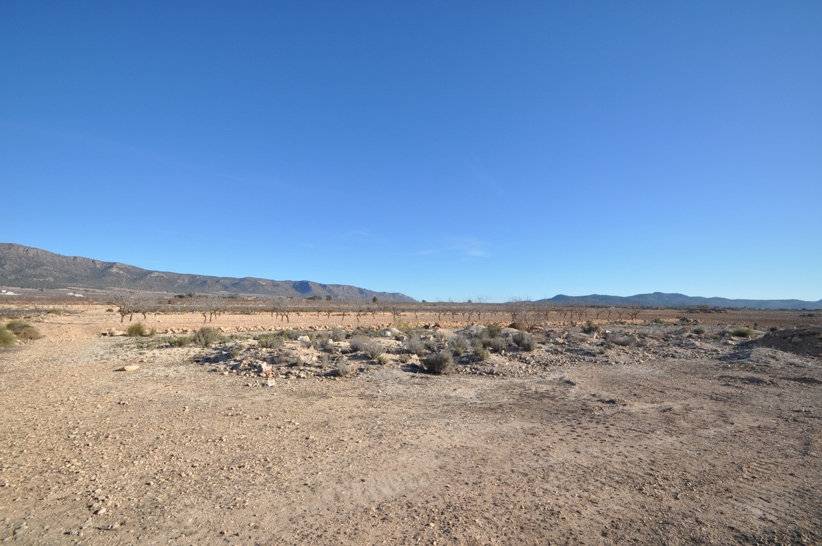 Property main view 5