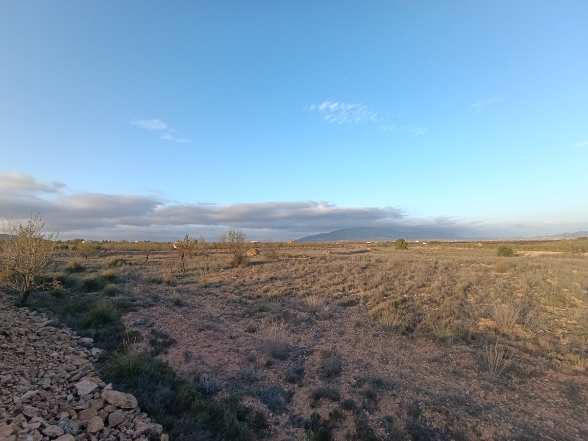 Property main view 3