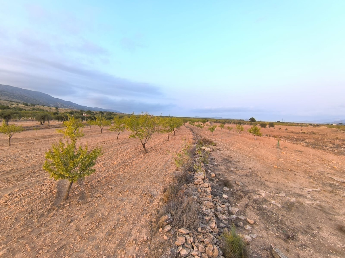 Property main view 2