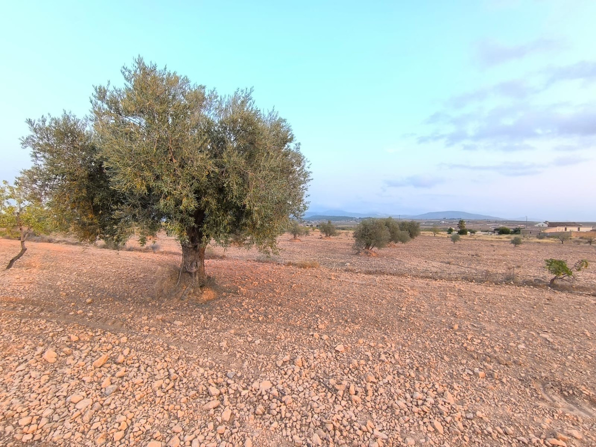 Property main view 5