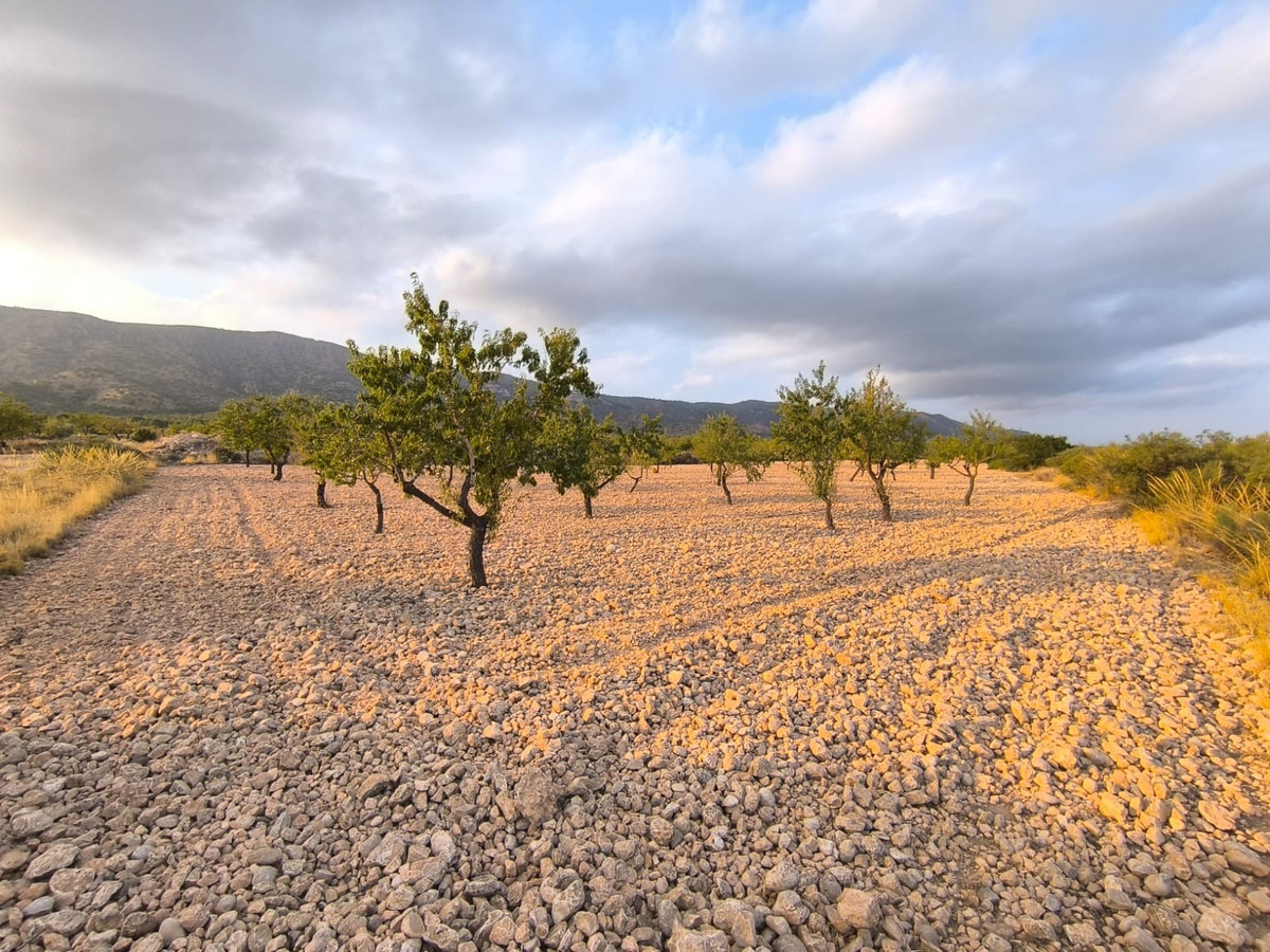 Property main view 2