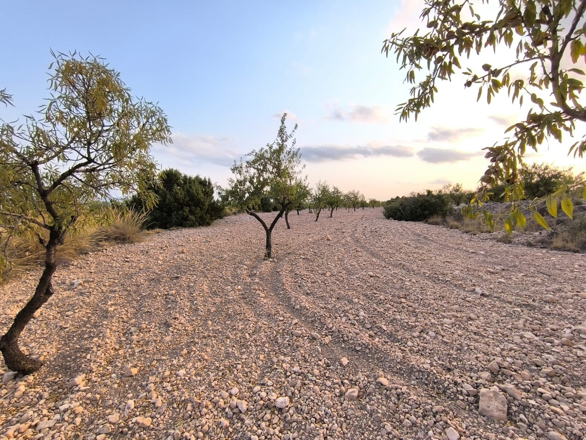 Property main view 3