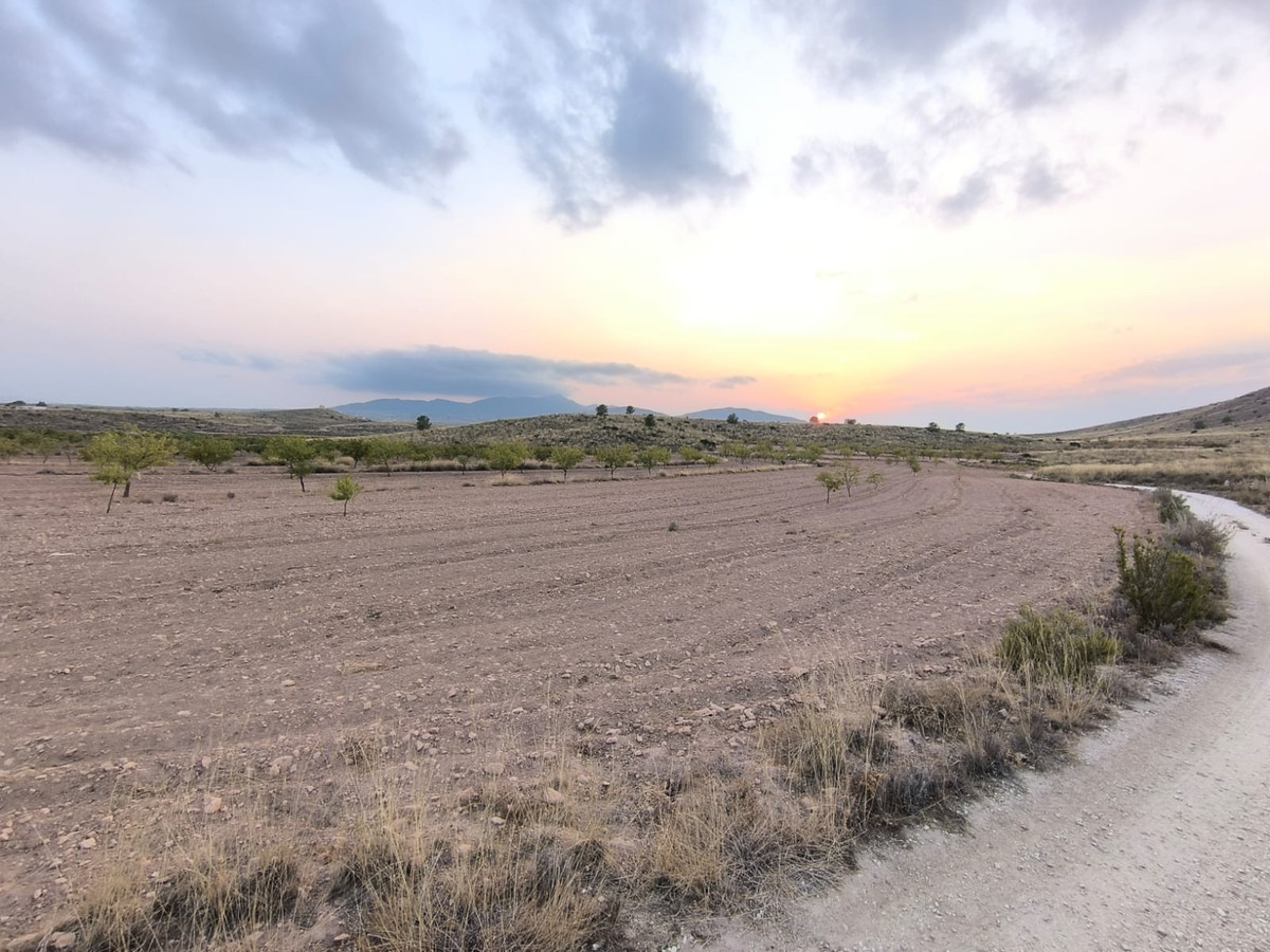 Property main view 2