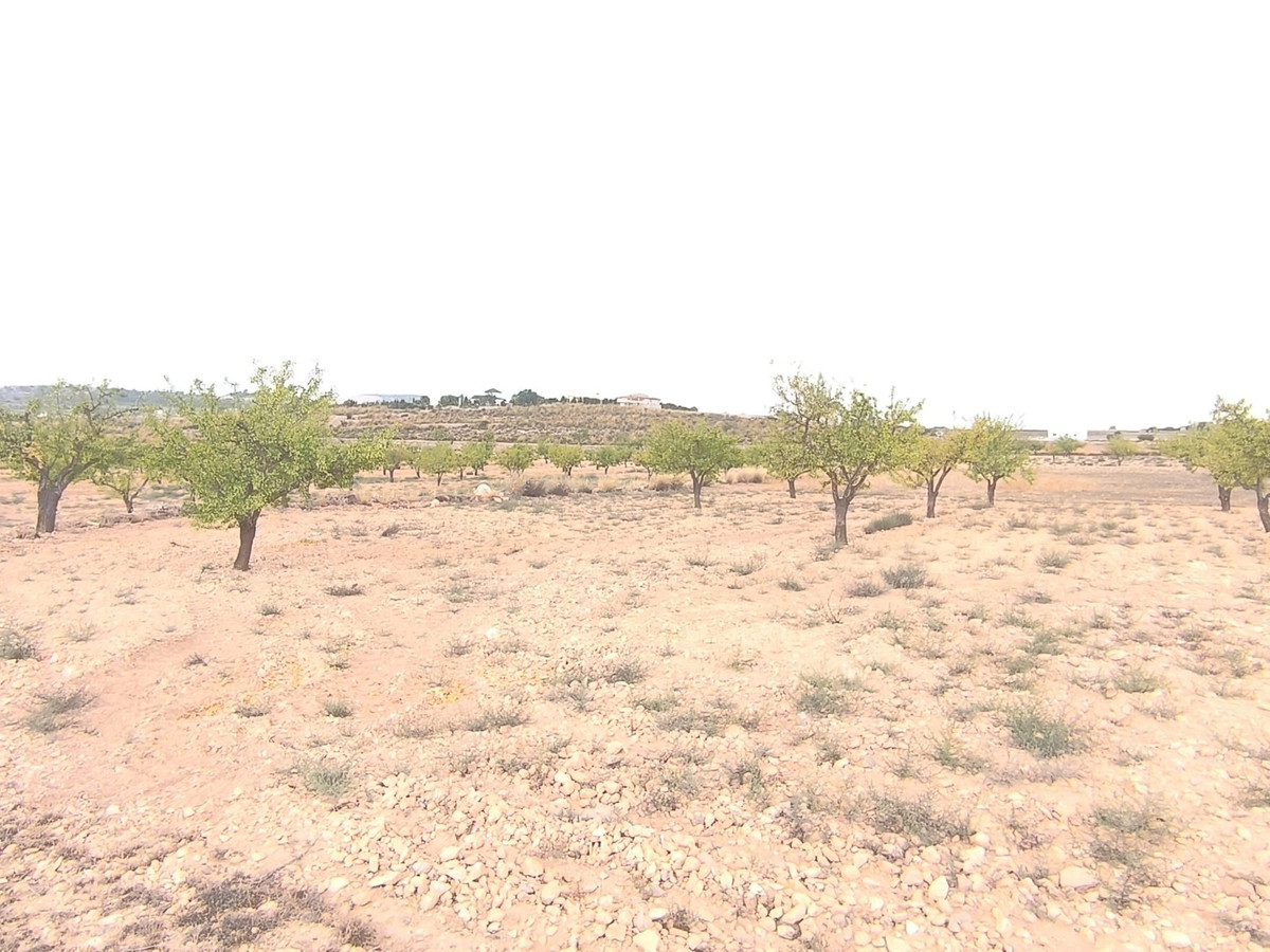 Property main view 4