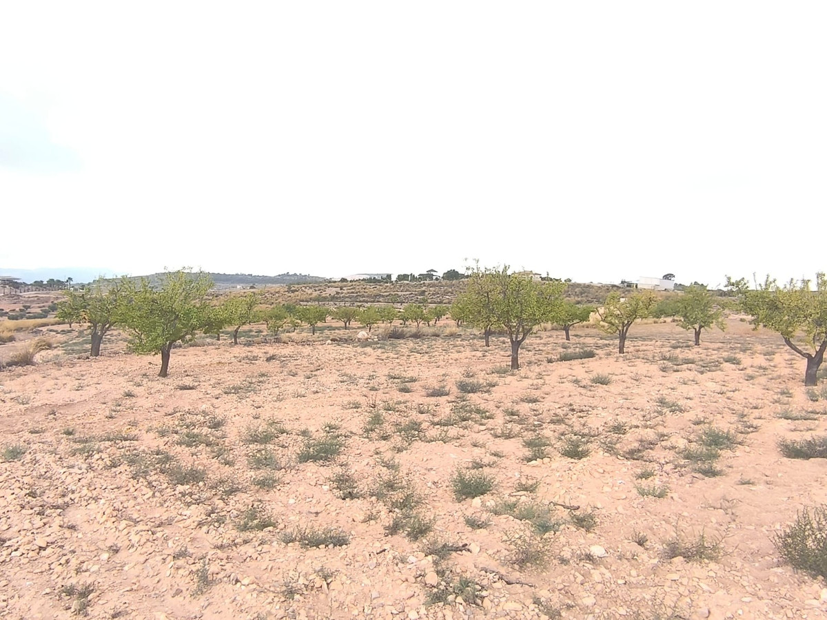 Property main view 5