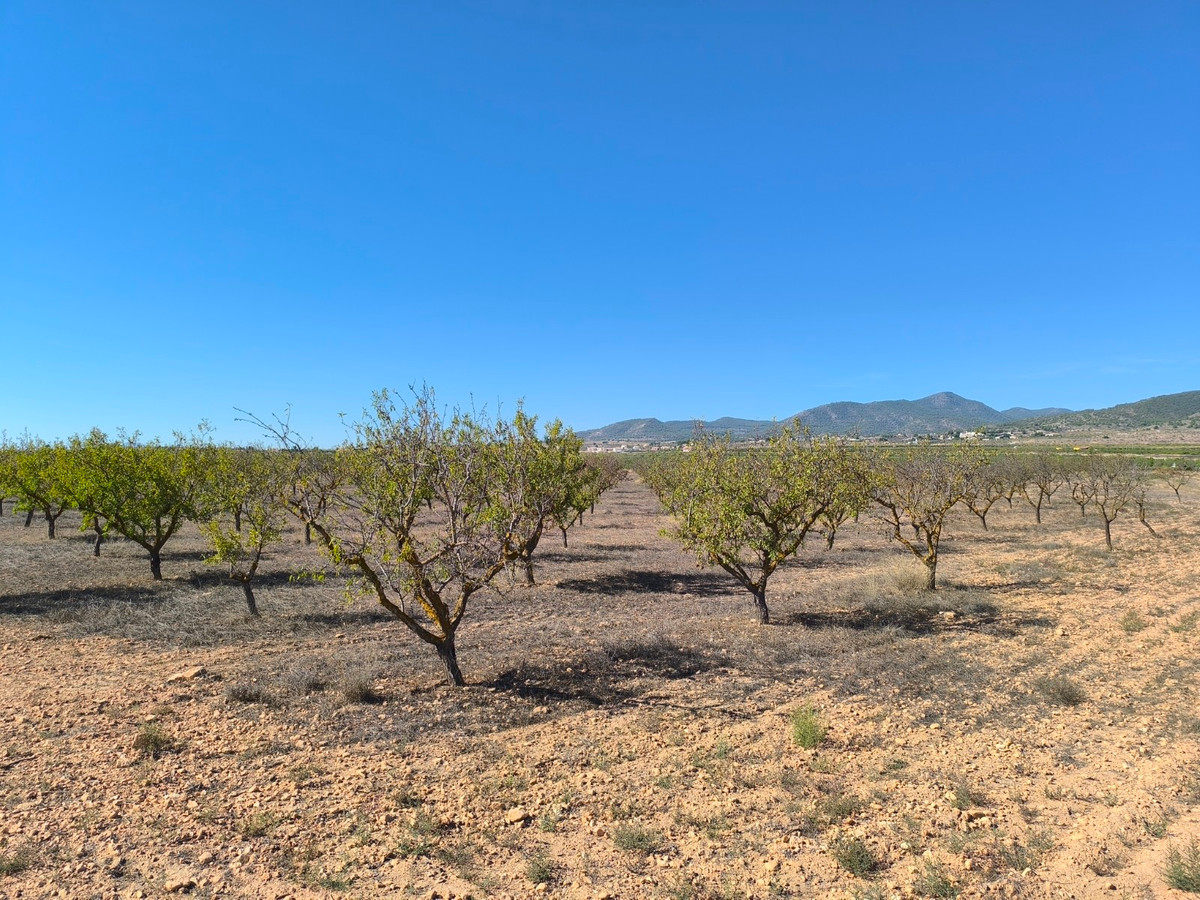 Property main view 5