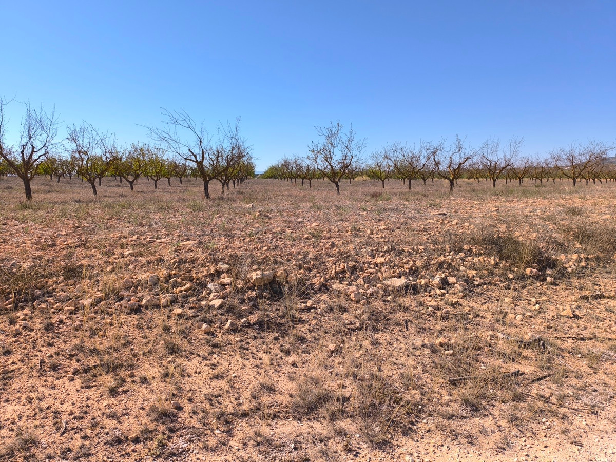 Property main view 6