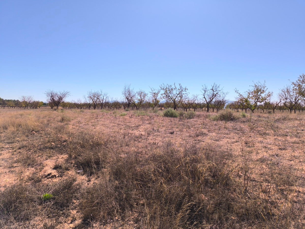 Property main view 7