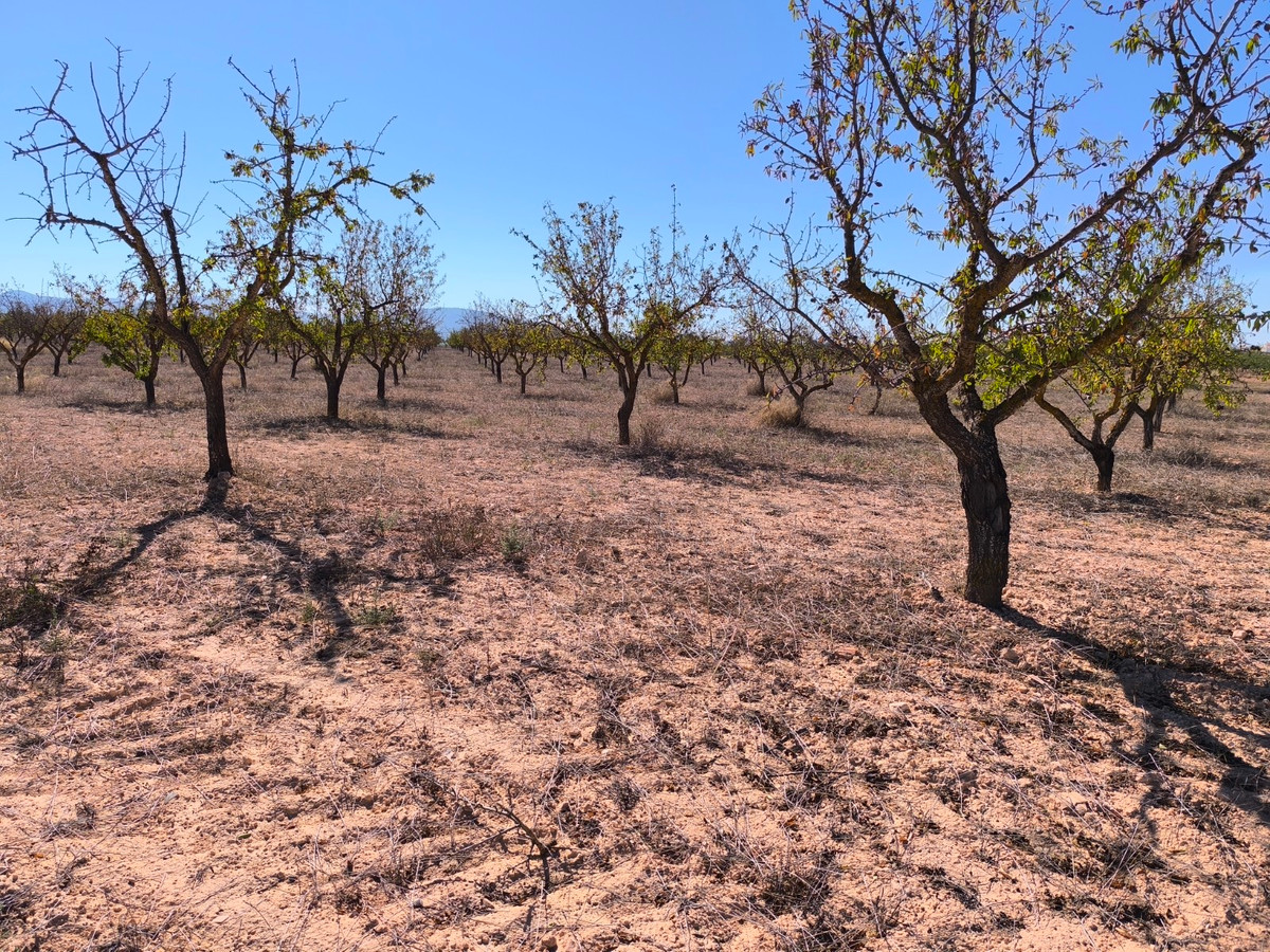 Property main view 8