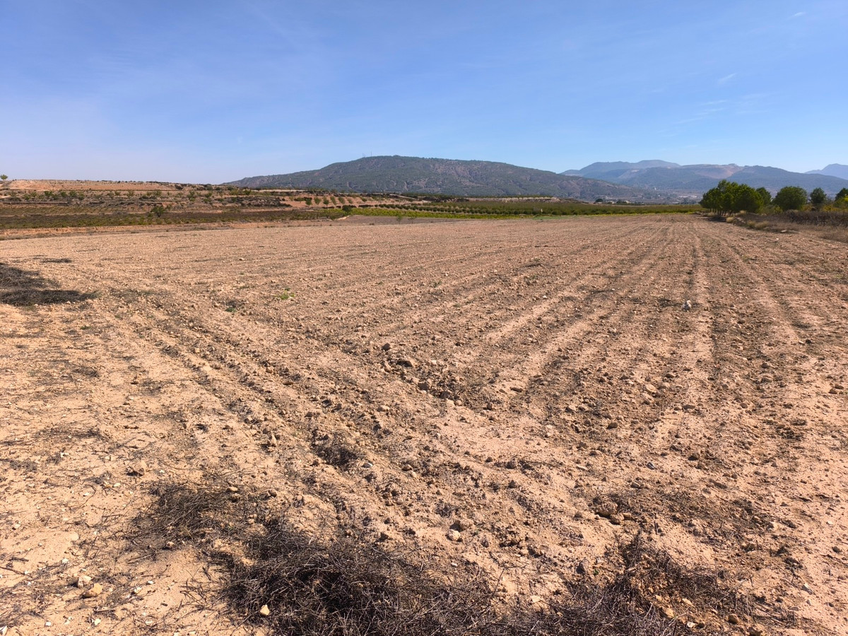 Property main view 4