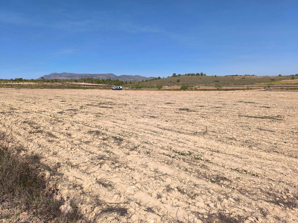 Property main view 6