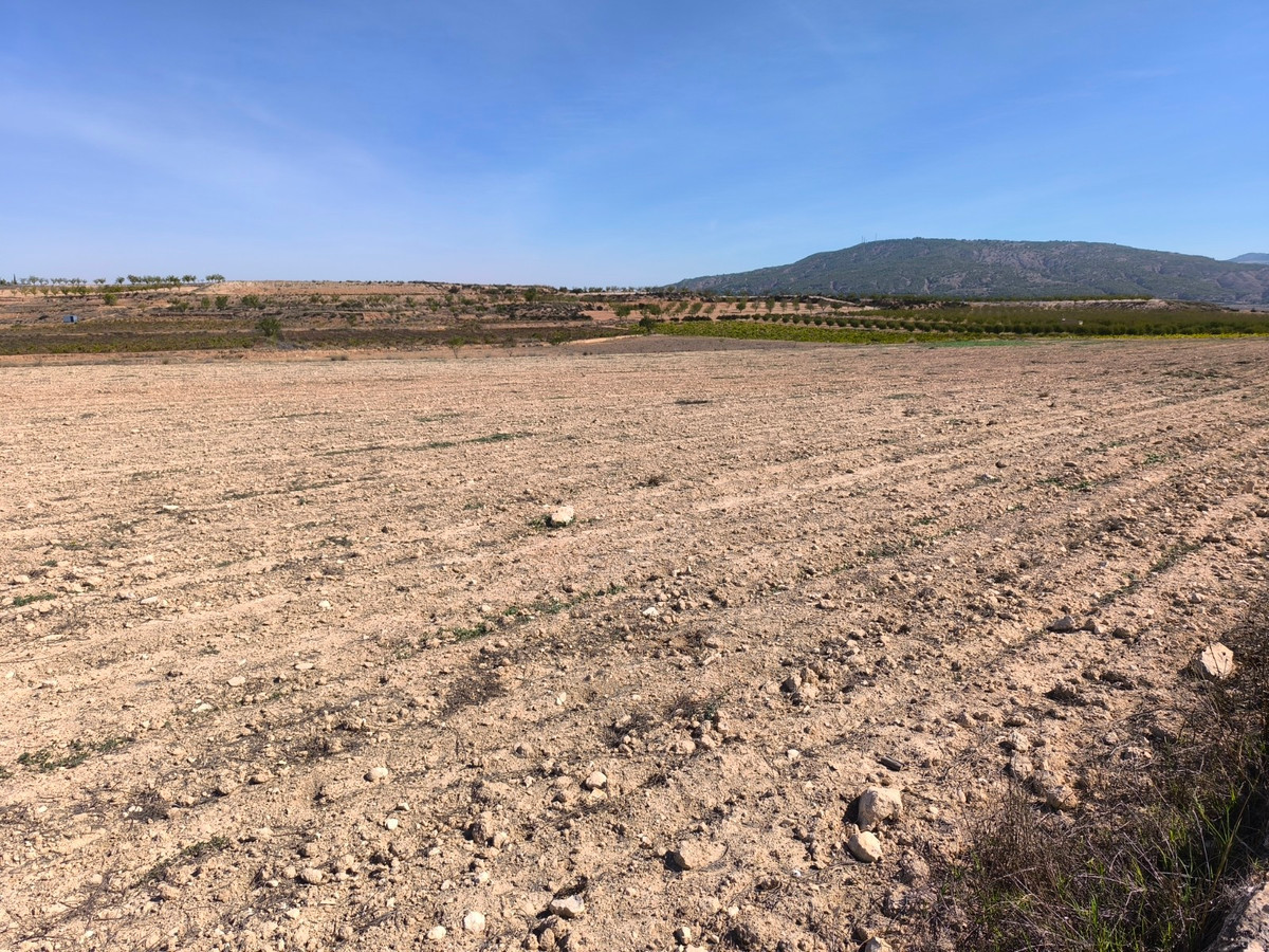 Property main view 7