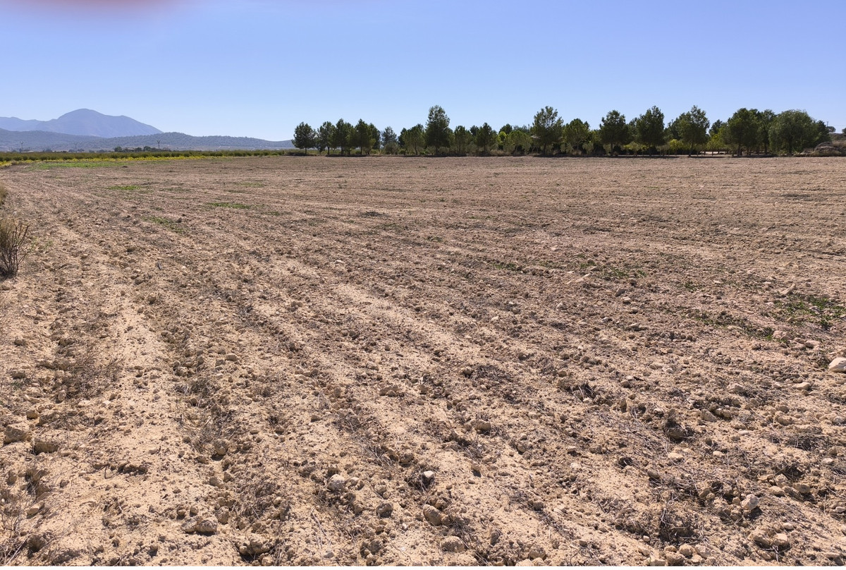 Property main view 8