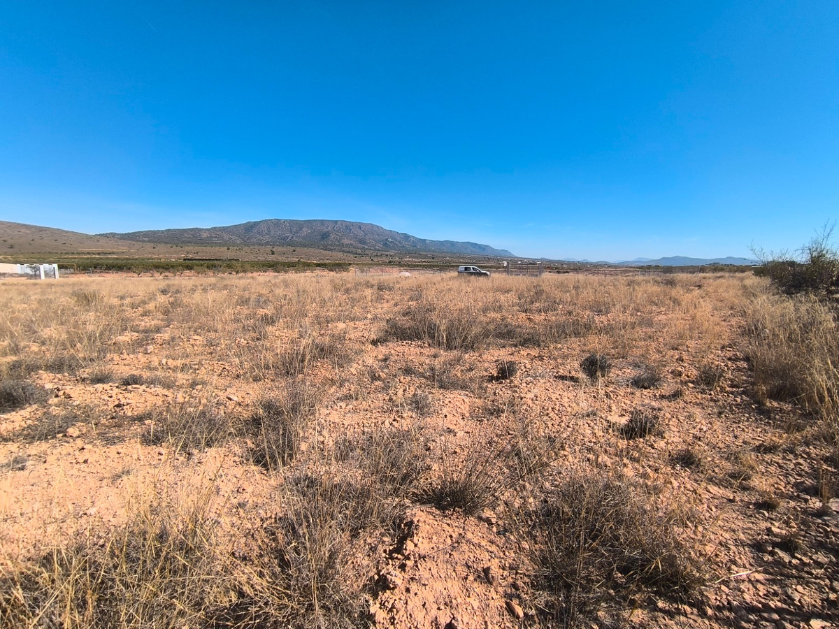 Property main view 2