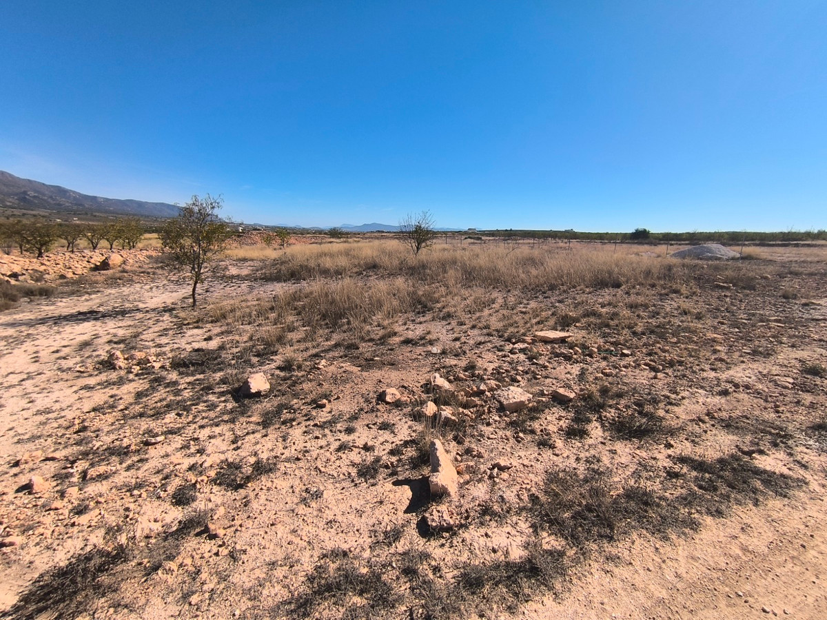 Property main view 5