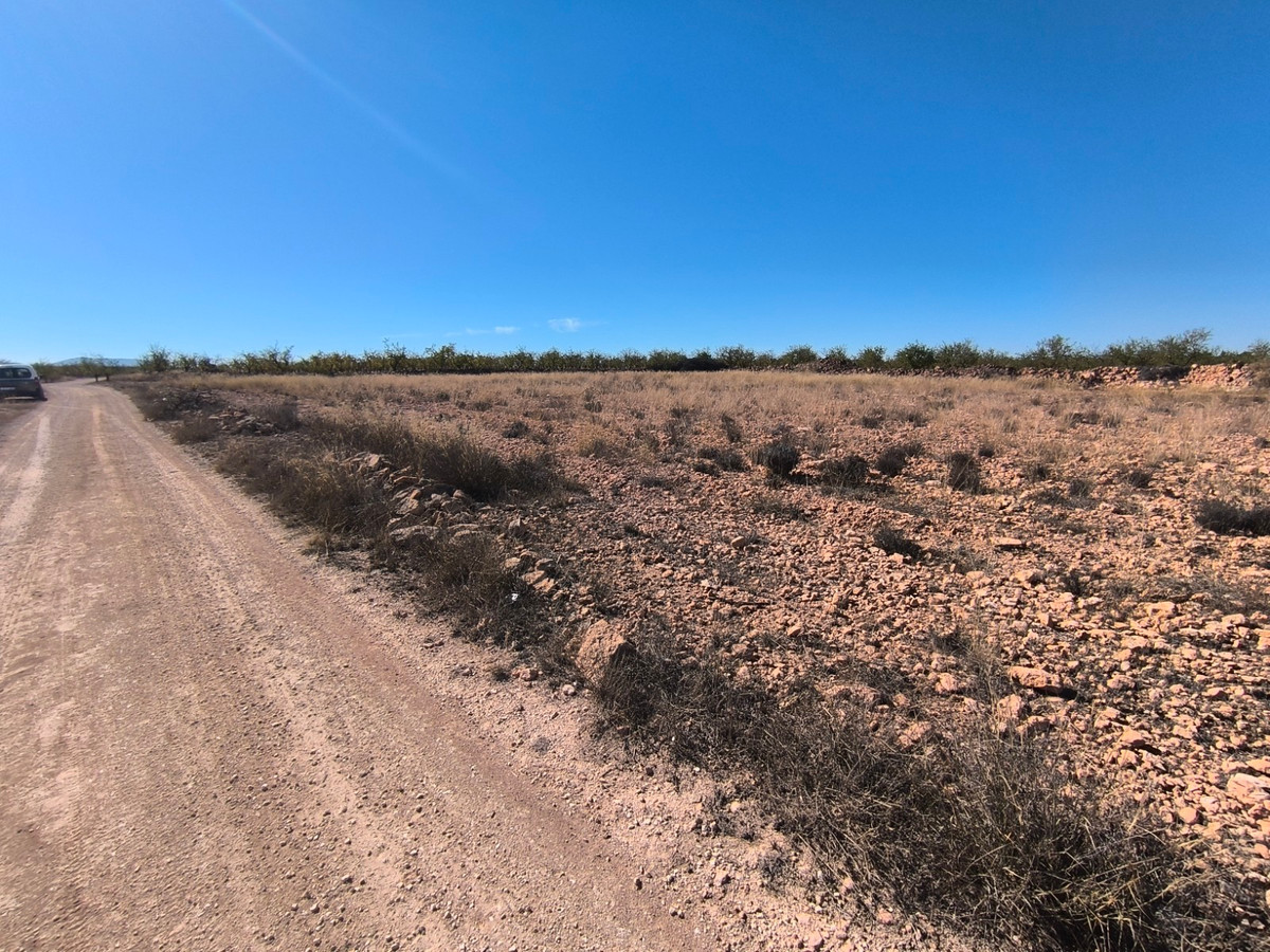 Property main view 7