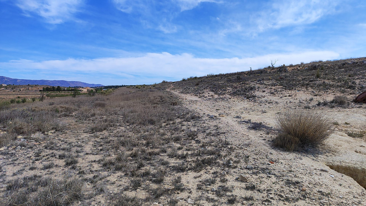 Grond te koop in Pinoso | 0 slaapkamers H5252746