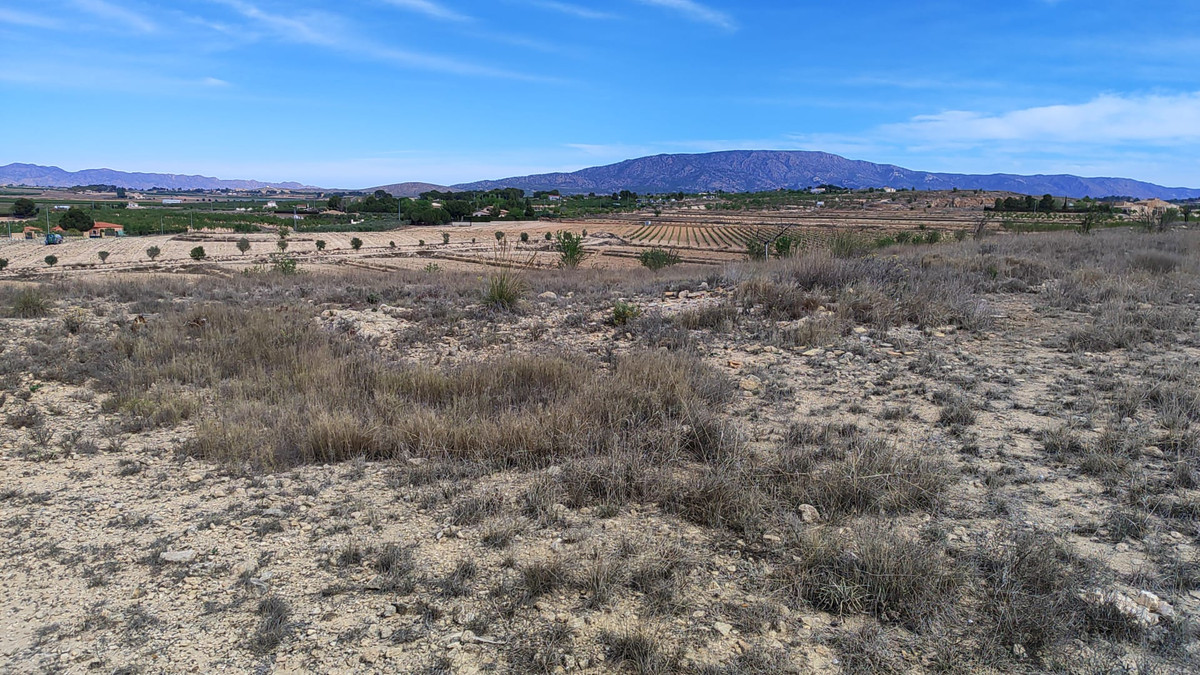 Grond te koop in Pinoso | 0 slaapkamers H5252746