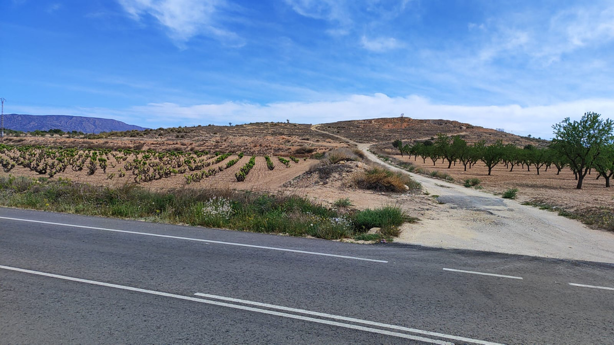 Grond te koop in Pinoso | 0 slaapkamers H5252746