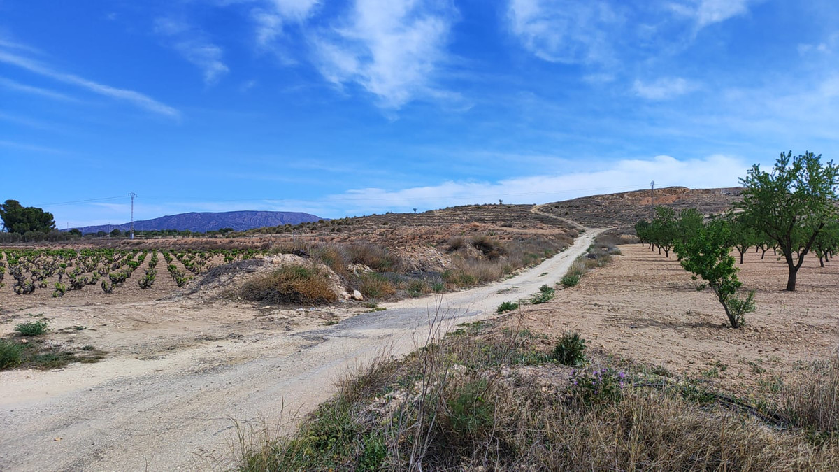 Grond te koop in Pinoso | 0 slaapkamers H5252746