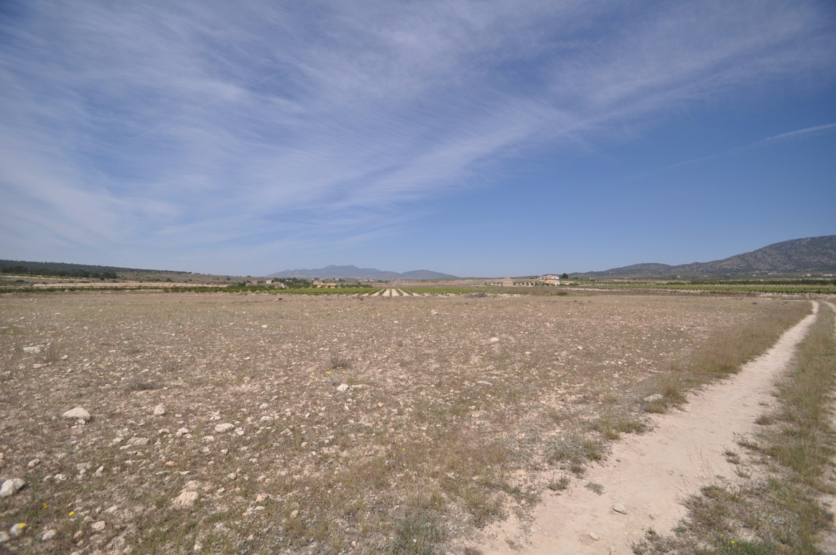 Property main view 15