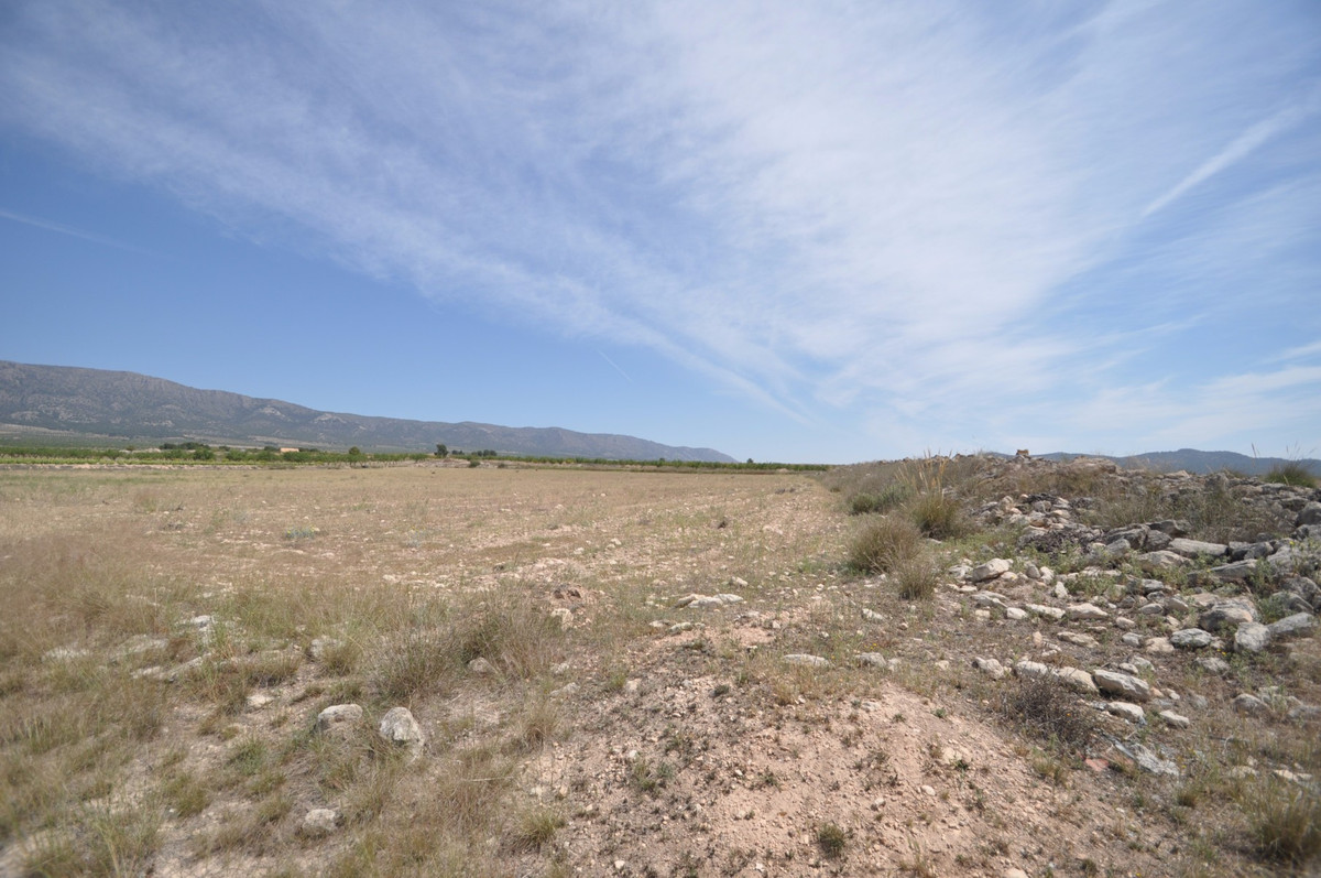 Property main view 17