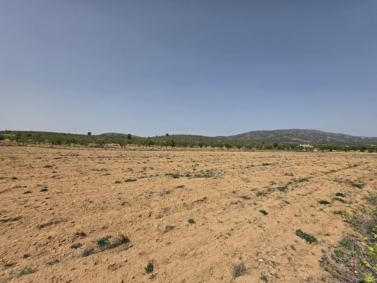 Grond te koop in Pinoso | 0 slaapkamers H5357833