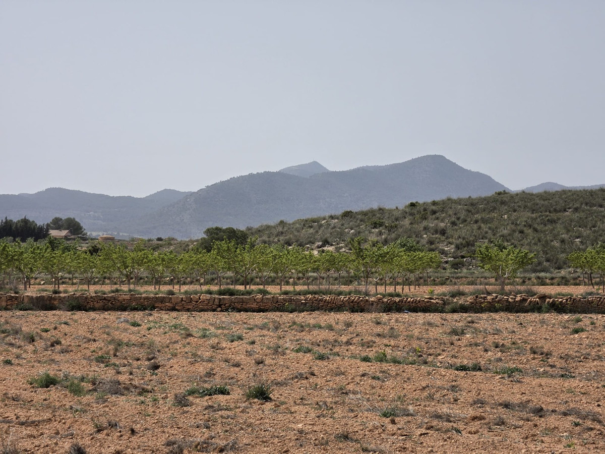 Grond te koop in Pinoso | 0 slaapkamers H5357833