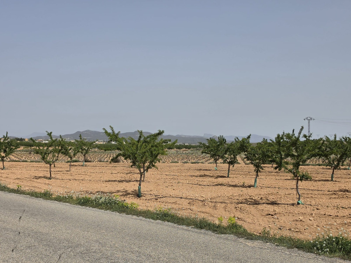 Grond te koop in Pinoso | 0 slaapkamers H5357833