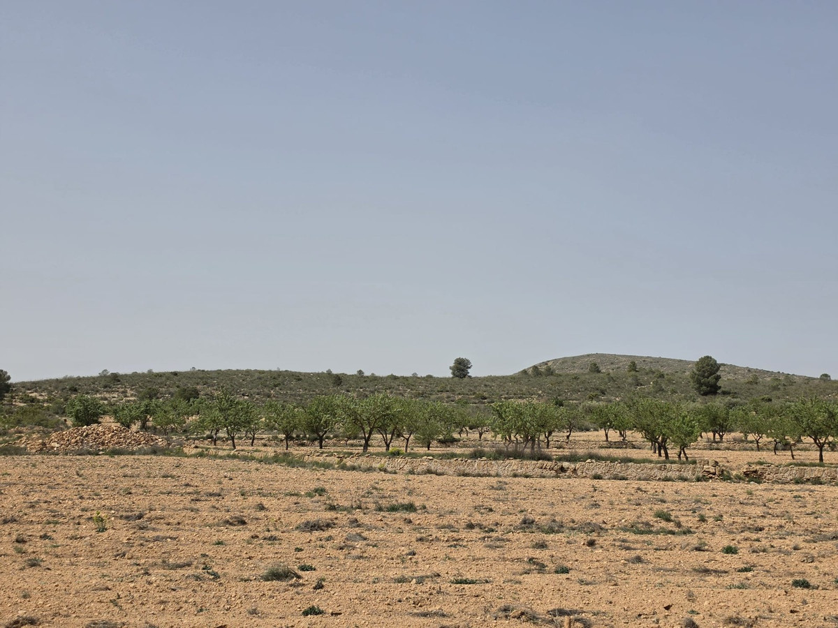 Grond te koop in Pinoso | 0 slaapkamers H5357833