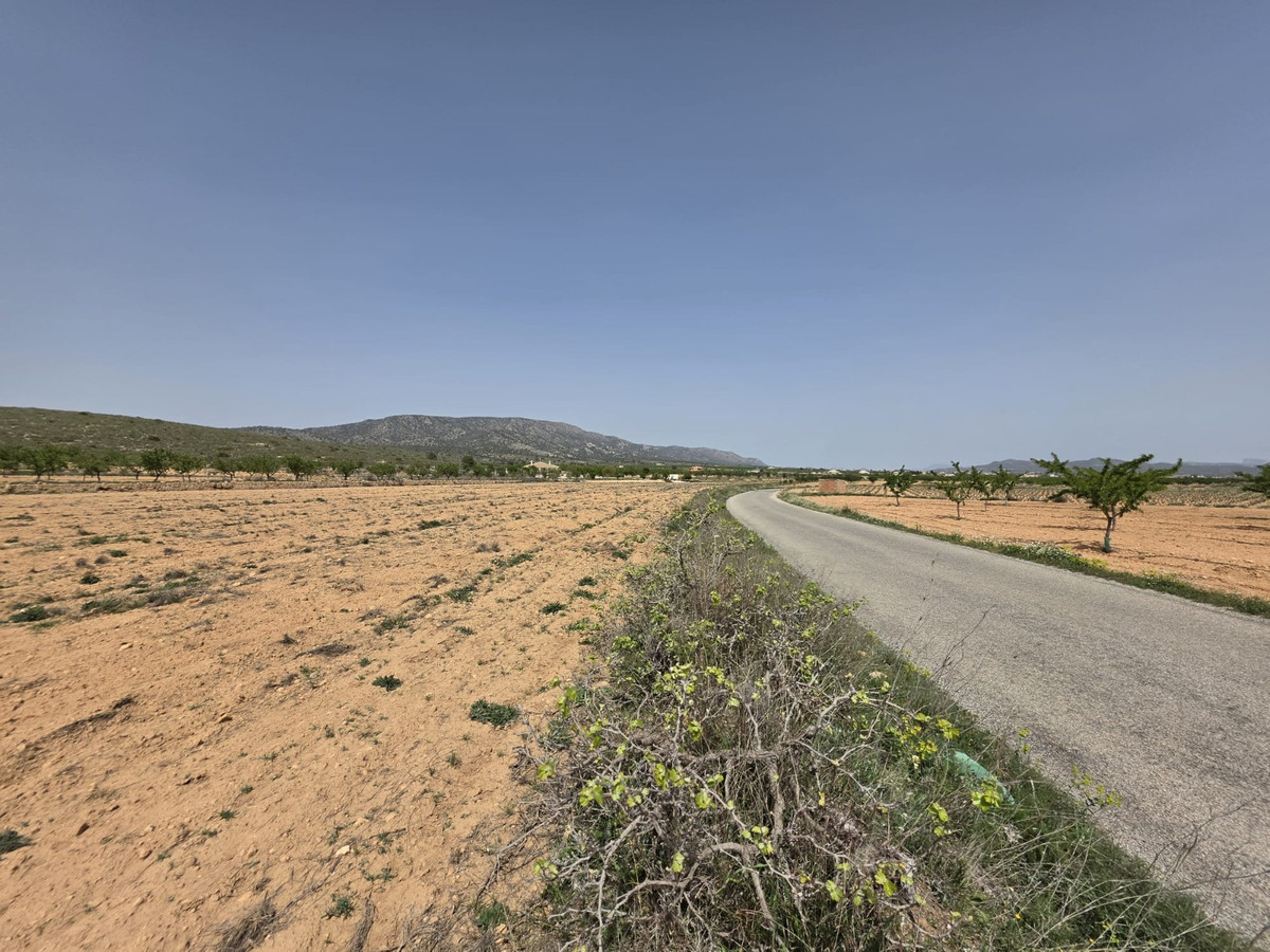 Grond te koop in Pinoso | 0 slaapkamers H5357833