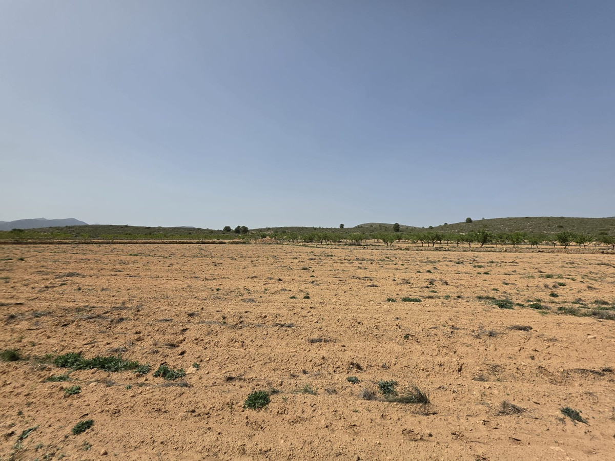 Grond te koop in Pinoso | 0 slaapkamers H5357833