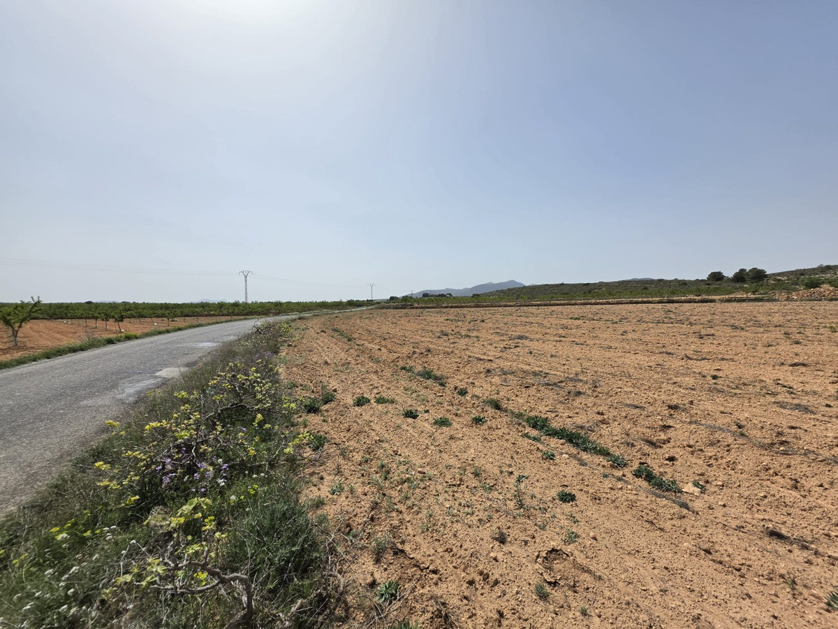 Grond te koop in Pinoso | 0 slaapkamers H5357833