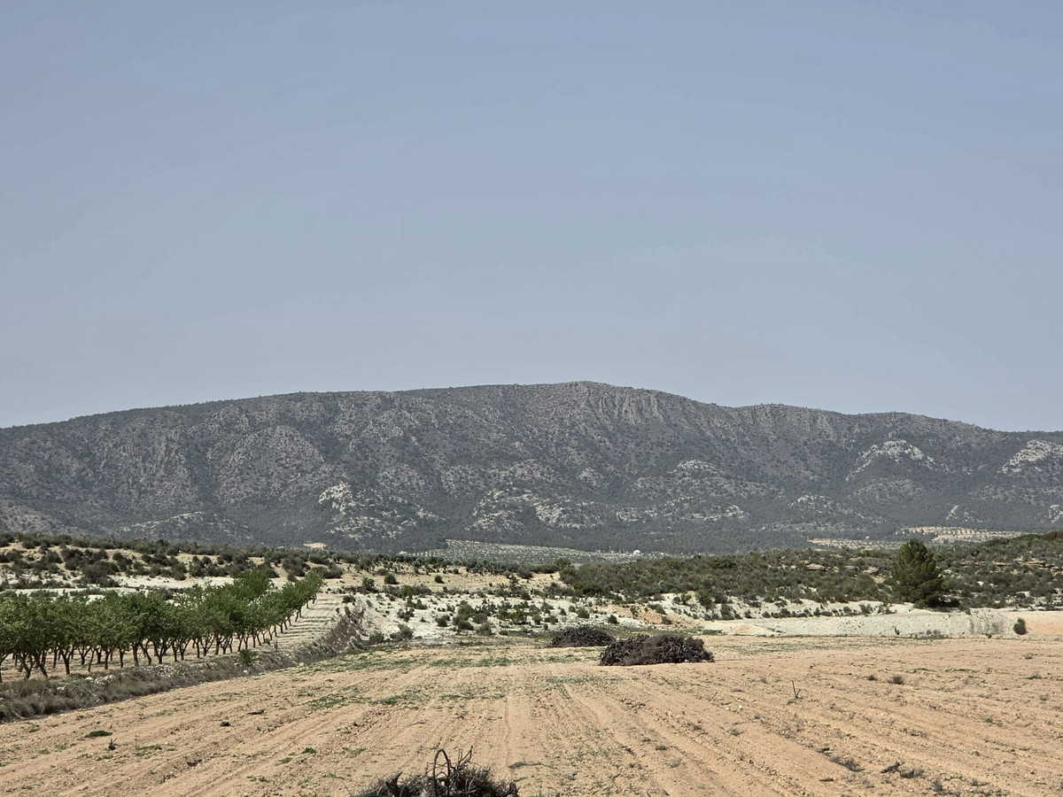 Property main view 11