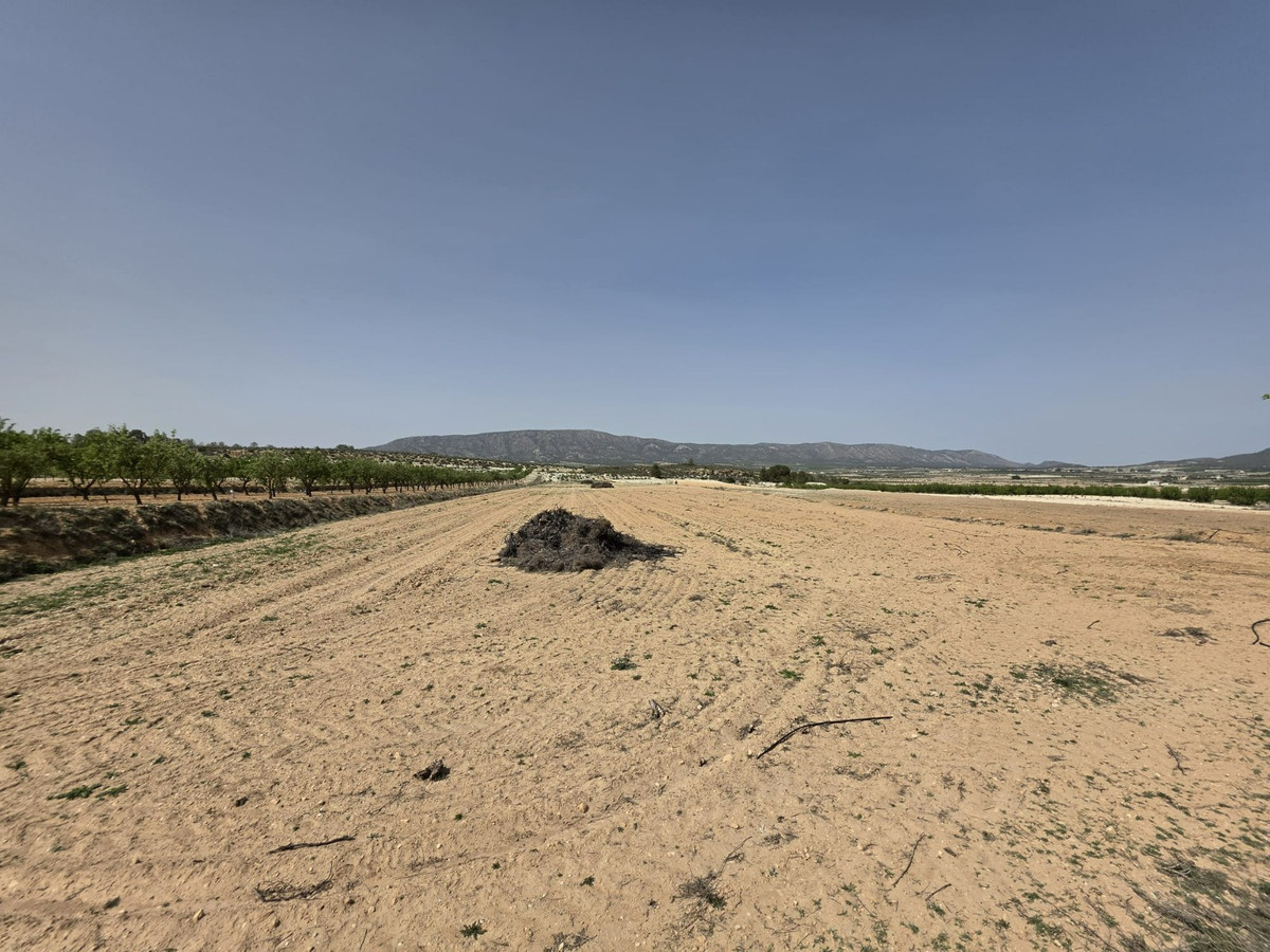 Property main view 12