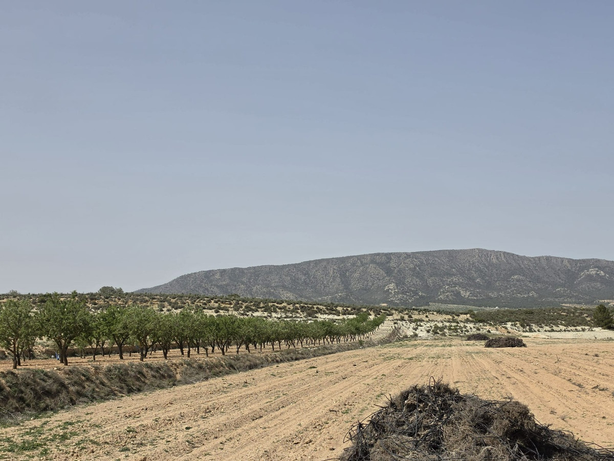 Property main view 5