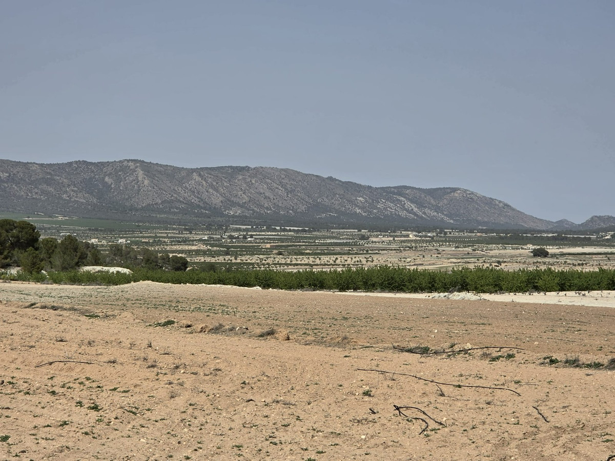 Property main view 7