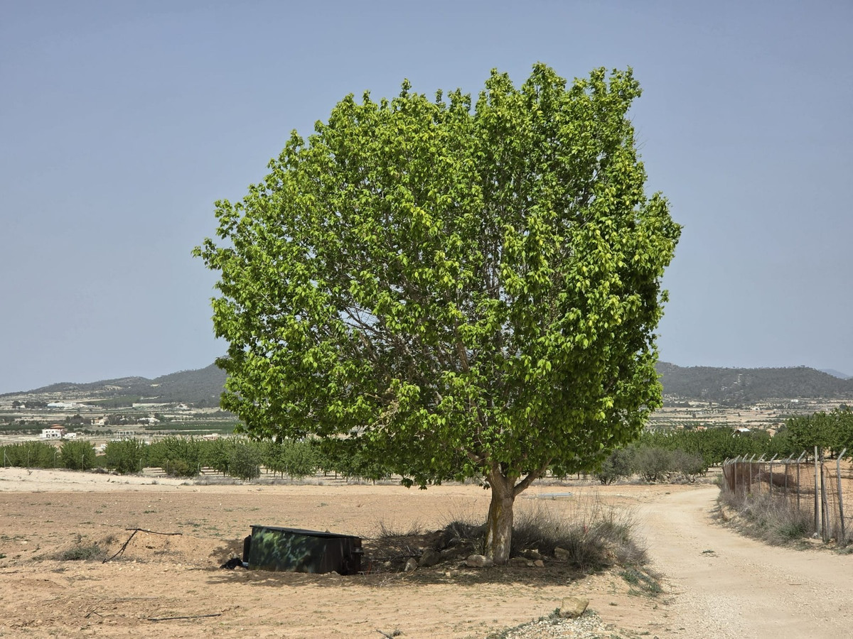 Property main view 8