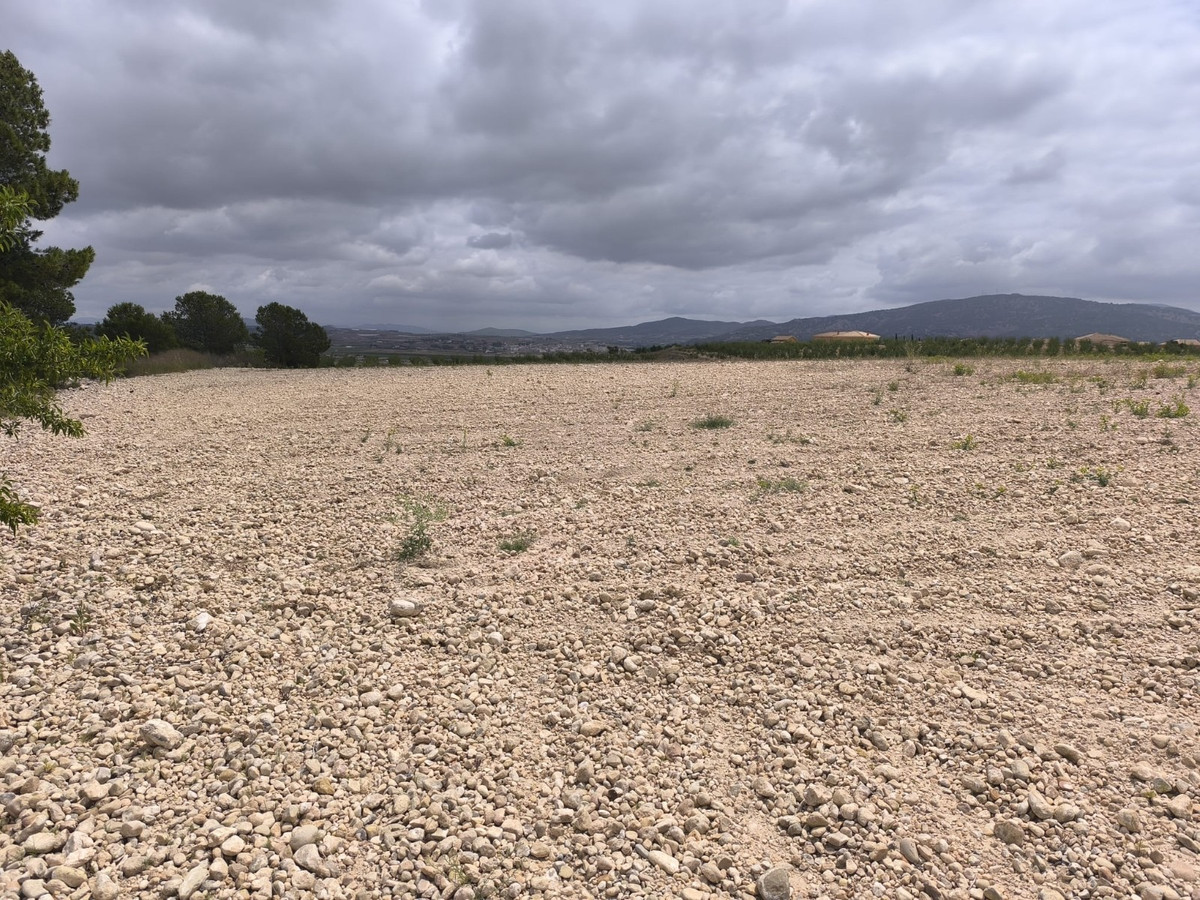 Property main view 10