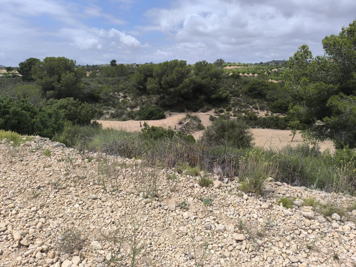 Property main view 12