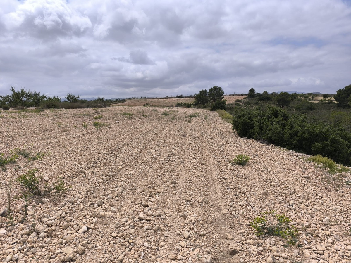 Property main view 13
